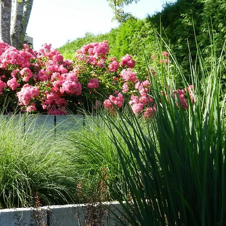 Schwendemann Апартаменты *